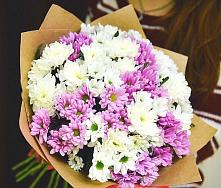 Букет цветов из:  Хризантемы #REPLACE_PRED# Городки